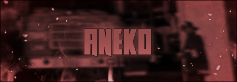 Aneko-2-0.png